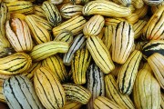 Roasted Delicata Squash